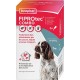 Fiprotec Combo  Chien 10-20Kg